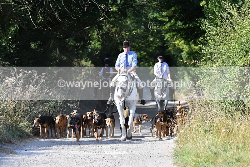 WJ5_4778 - Walk out with the hounds