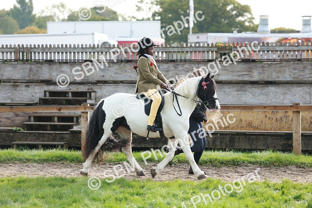 SBM_56319 - S39 - Starters In Hand Showing
