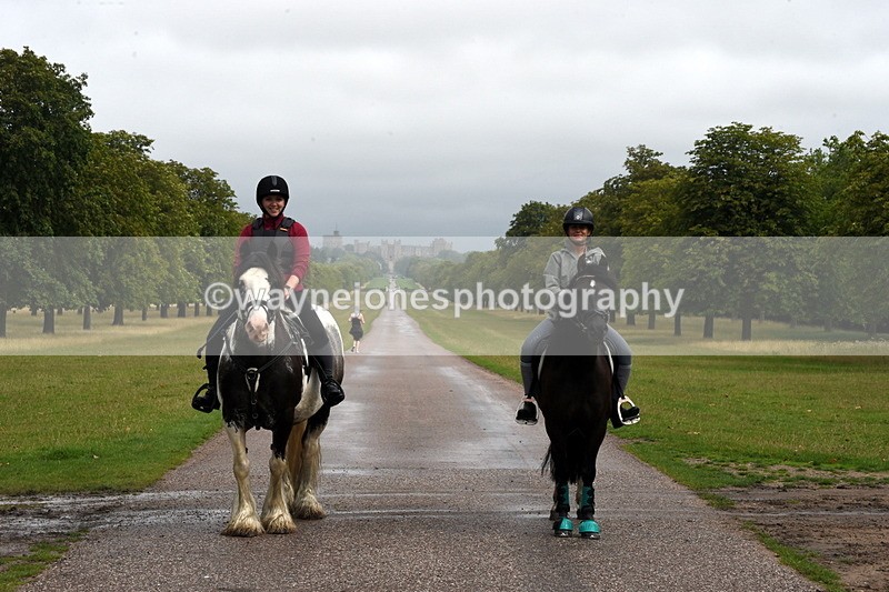 TT3_8278 - Time at Crossing 10:16 to 11:38