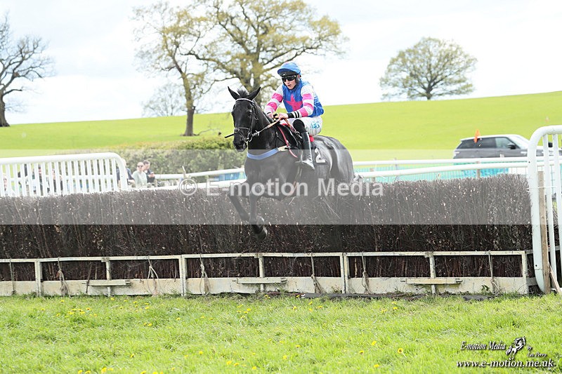 PtP 180426 516 - Worcestershire Hunt PtP Chaddesley Corbett 18/04/26