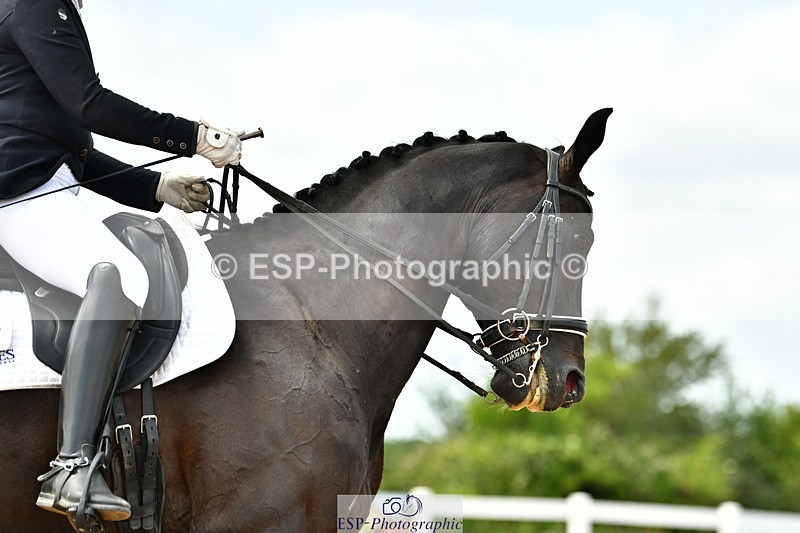 230702A-152017-10894 - Cls 34 Adv Medium 91