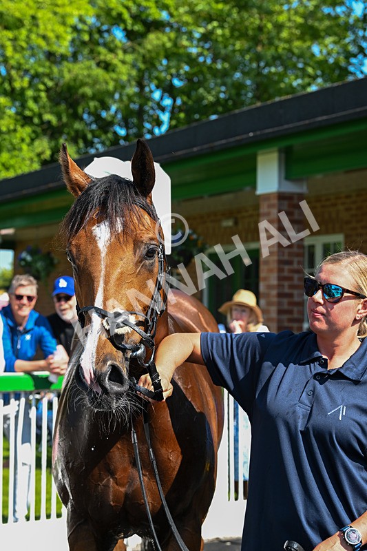 180524-Race 4-Ghostlore-9635 - Race 4