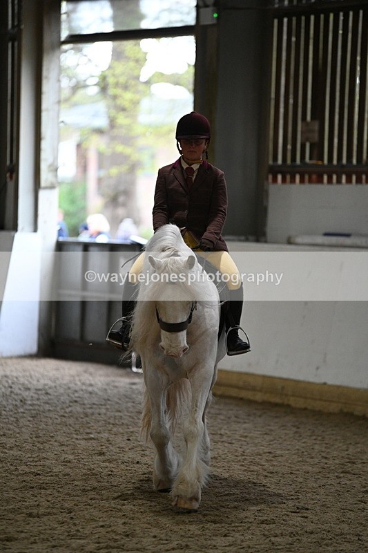 WJ7_4175 - Class 17 Ridden Cob