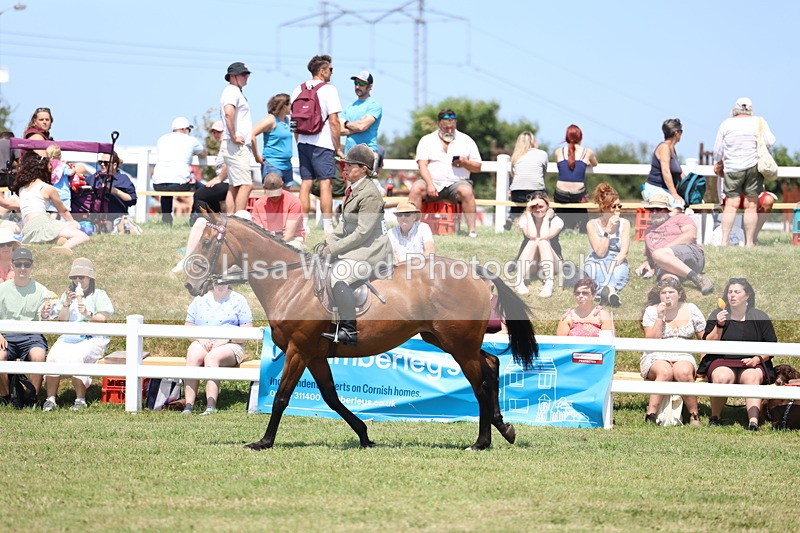 3E7A9343 - Class 12: Open Racehorse to Show Horse
