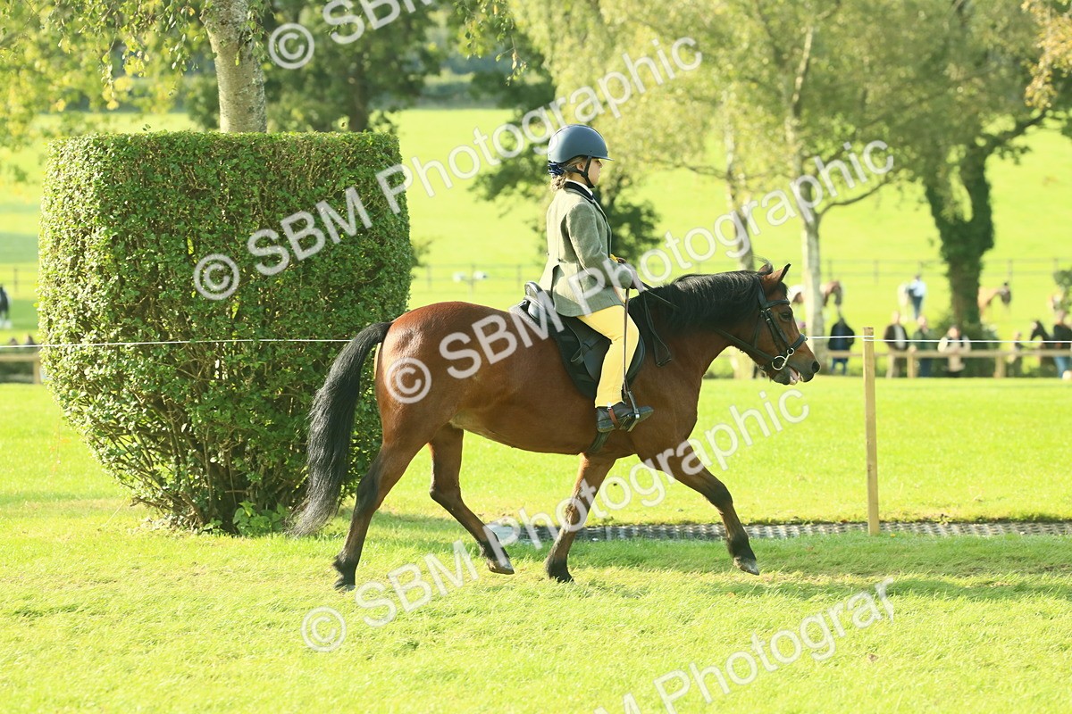 SBM_59288 - S38 - Starters Ridden Showing