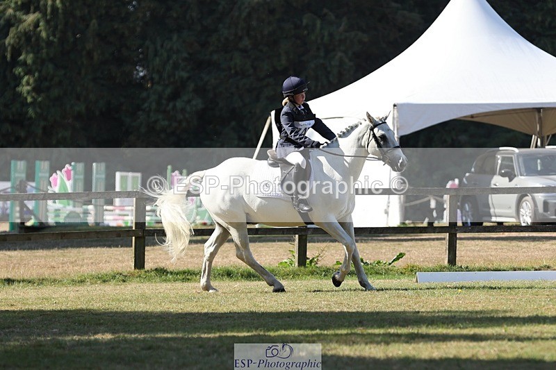 250823A-101556-27003 - Arena C