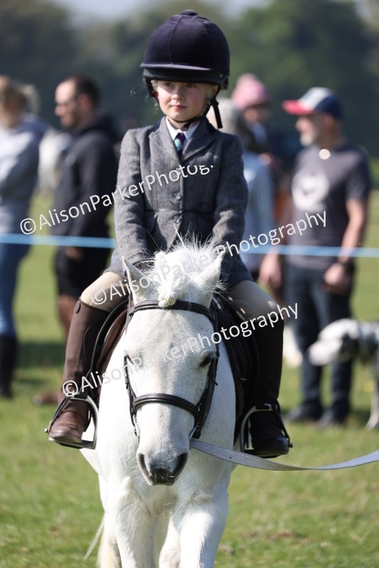 20250427-0120 - Class 30 - Tiny Tots Lead Rein