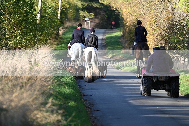 WJ7_8668 - Walk Home