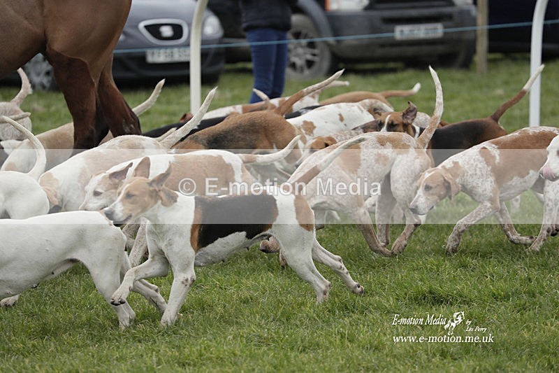 PtP 050323 523 - Blackmore & Sparkford Vale Hunt PtP - Somerset 05/03/23