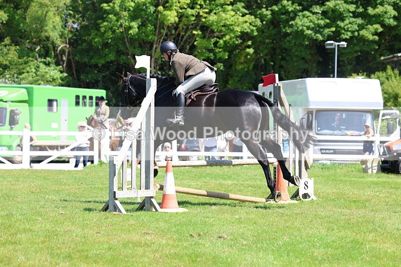 3E7A7013 - Class 30: Novice Working Hunter
