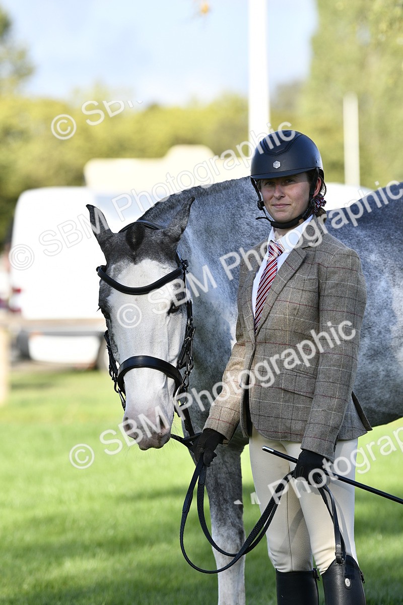 SBM_52238 - S35 - Working Hunter & Working Show Horse