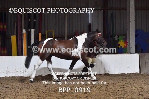 BPP_0919 - RING 2