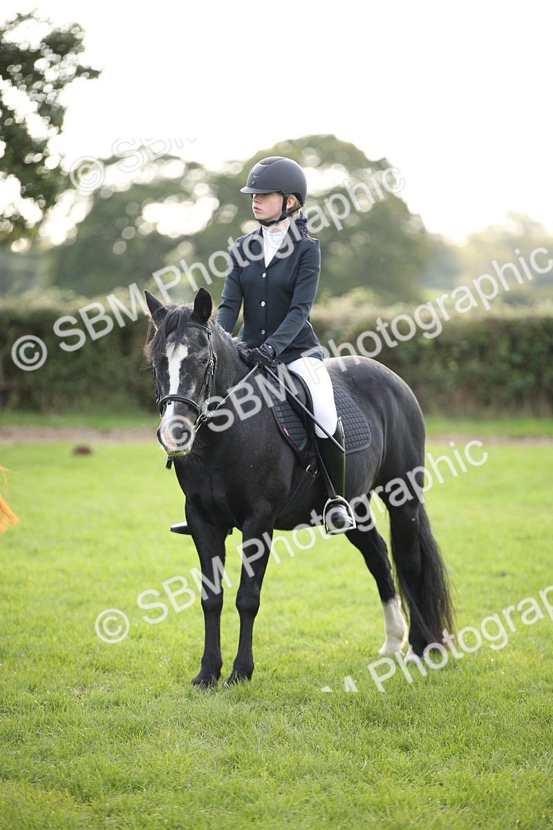 SBM_54269 - S27 - Mature Veteran - Ridden