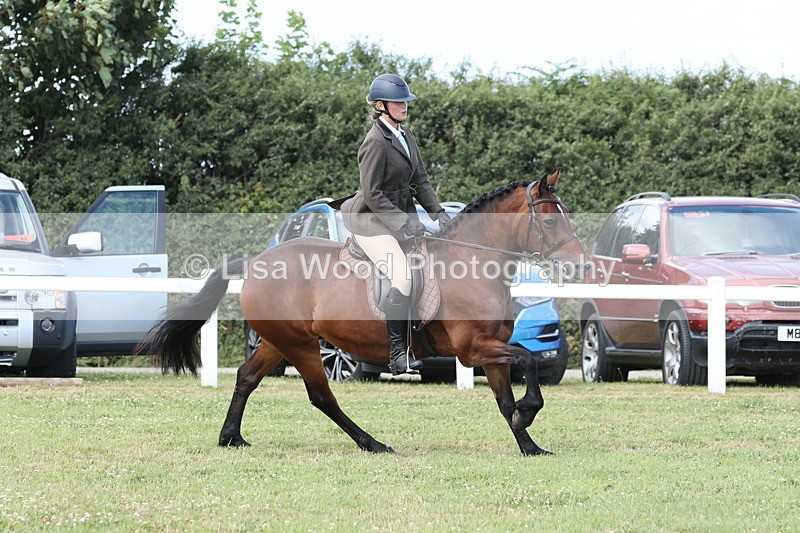 JPP_2406 - Class 19: Working Hunter 60cm