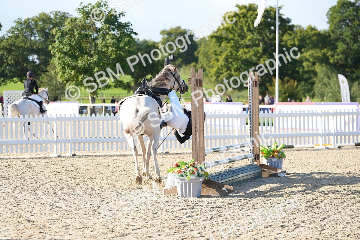 SBM_14341 - J57 - Clear Round 60cm