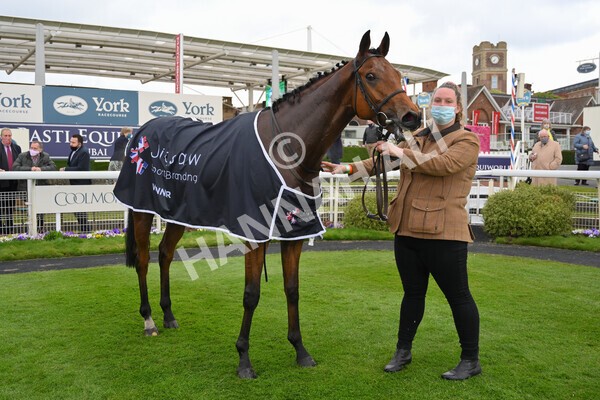 yr14052021r5-56 - Race 5 3.40pm The Jigsaw Sports Branding Handicap