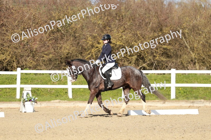 20260314-4537 - DR4 - Prelim 2