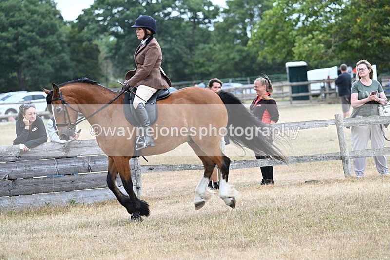 WJ7_0595 - Class 6 Ridden Mountain and Moorland
