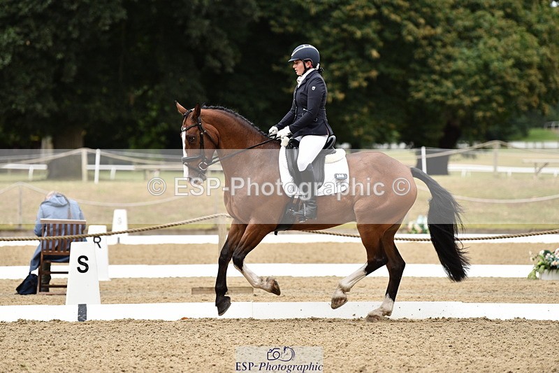 140109A-233732-08519 - 008-Bella.Balian-Beechwood.Joey