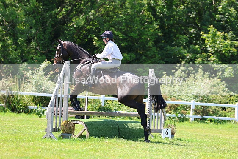 3E7A7060 - Class 30: Novice Working Hunter