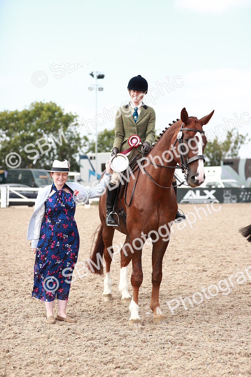 SBM_15545 - Class 213 Ridden Hunter -Large