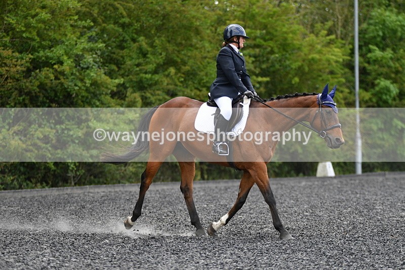 WJ5_0293 - Time 12:24 to 13:01