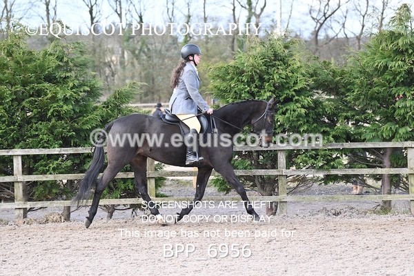 BPP_6956 - RING 1  (RIDDEN HORSES / IN HAND / VETERAN ETC)