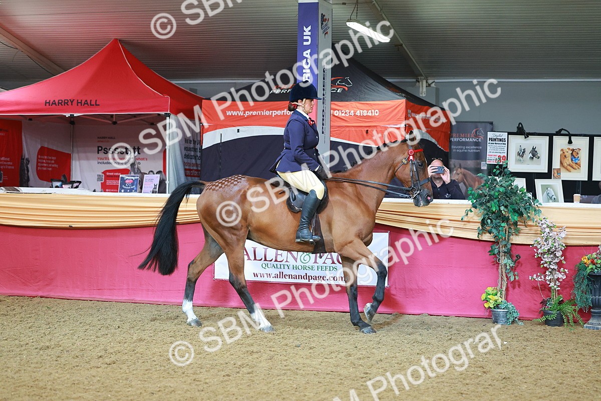 SBM_07617 - Class 101 - HOYS Veteran Qualifier - Ridden Diamond