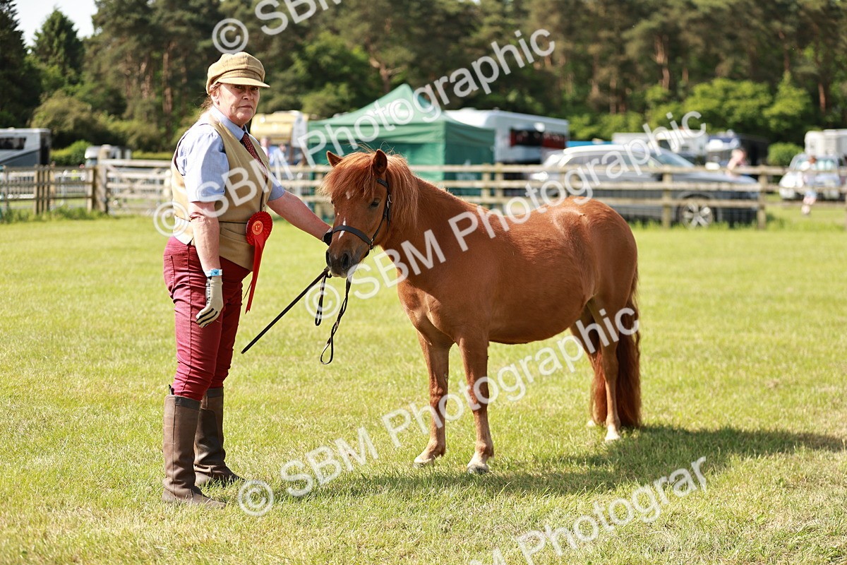 SBM_01788 - Class 14-23 - Mountain & Moorland In Hand Non Welsh