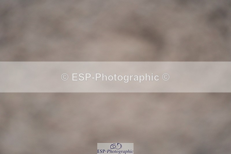 231017A-114518-06751 - Cls 26 Chard Equ Grand Prix