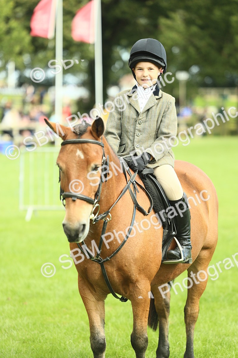 SBM_44810 - S31 - Working Hunter Pony