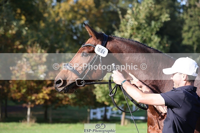 241027-103114-15942 - 584-Tommy.Greengard-I'M.ALL.IN