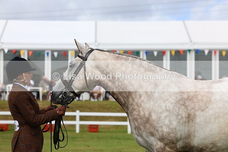 3E7A0357 - Class 6: Rising Star Maxi Cobs