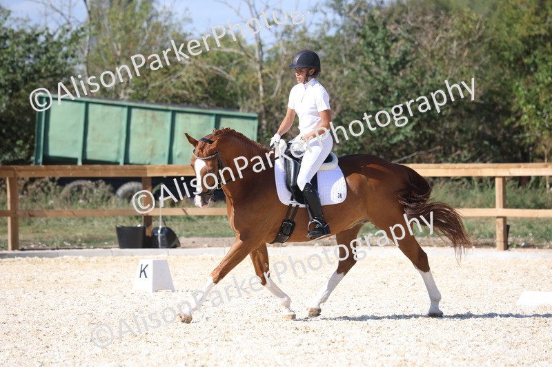 20260905-1535 - Class 5 - Novice 2