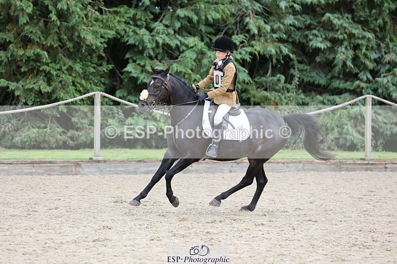 240823X-141350-18260 - 70cm R1 13.45 to 15.30