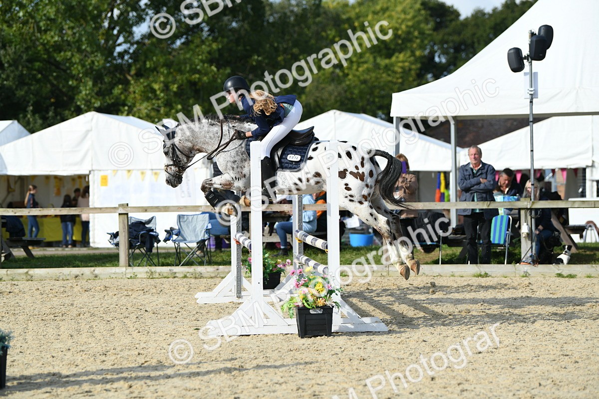 SBM_60735 - j25 - Junior Horse 80cm Championship