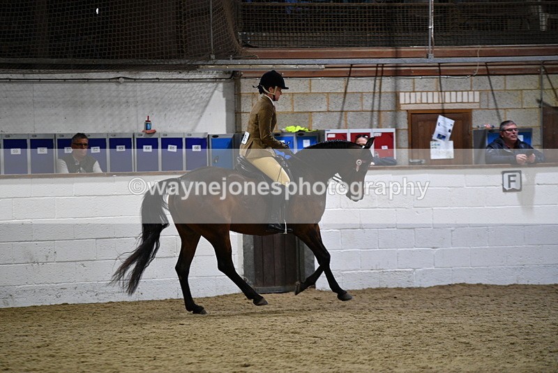 WJ5_8937 - Class 15 Ridden Show Horse