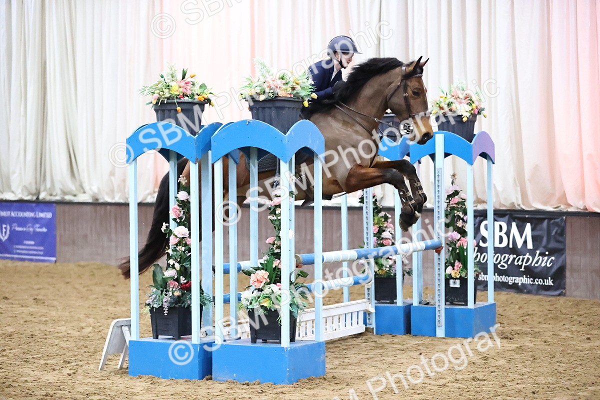 SBM_002040 - Class 8 - Senior British Novice - 90cm