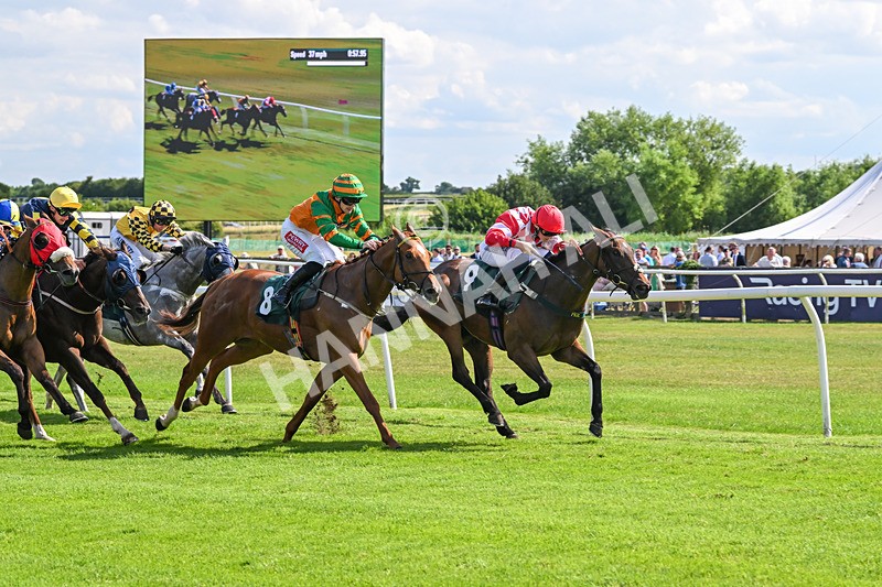 160725-Race 4-Lady Bouquet-9147 - Race 4