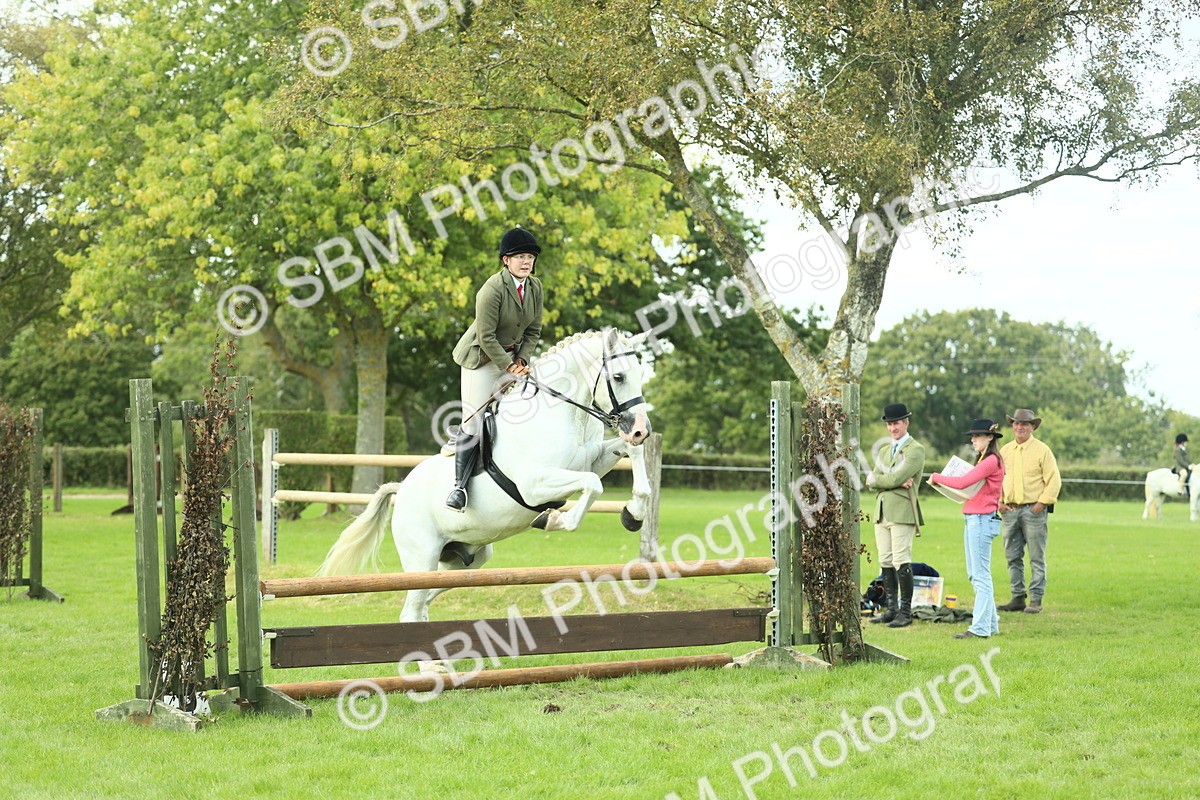 SBM_47942 - S32 - Novice & Newcomers Working Hunter