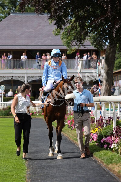 yr08072022r3-27 - Race 3 3.15pm William Hill Play Responsibly Irish EBF Novice Fillies Stakes