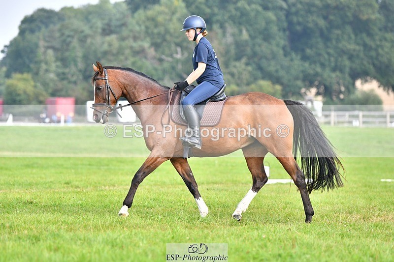230817-093117-02573 - Abbie's 1st Group - Dressage