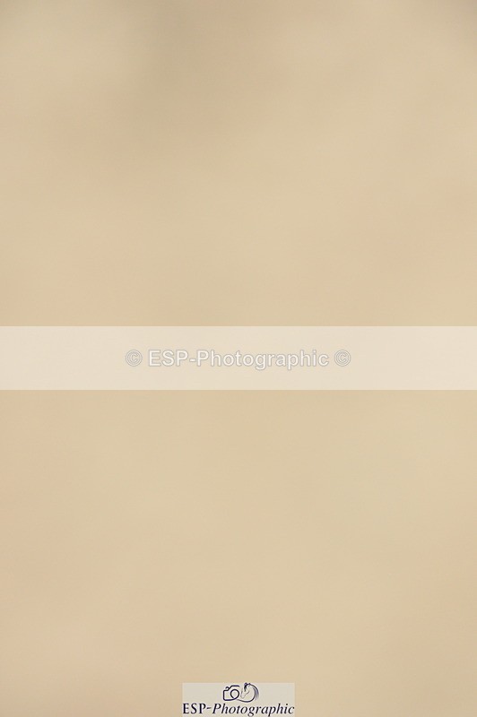 240210A-144744-01614 - Cls 26 Springboard