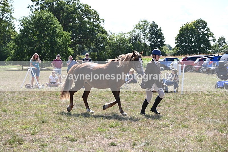 WJ6_4971 - Class 17 Mountain & Moorland