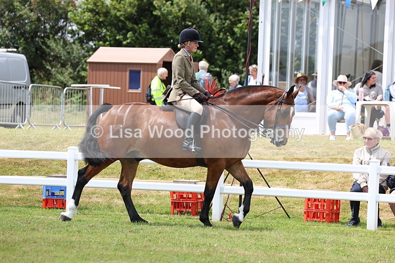 3E7A1833 - Class 10: Open Cob