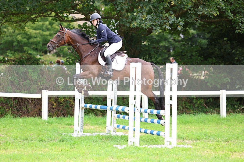 3E7A7254 - Class 5: Senior British Novice/90cm open