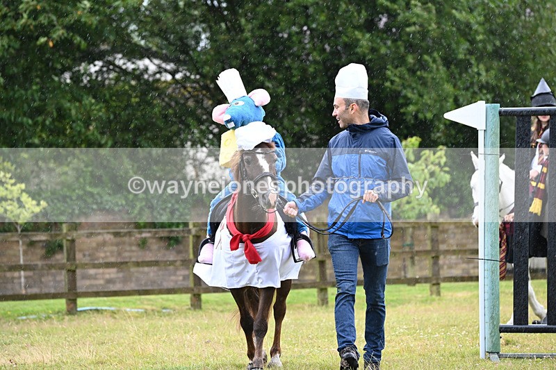 WJ6_9065 - Class 11 Fancy Dress