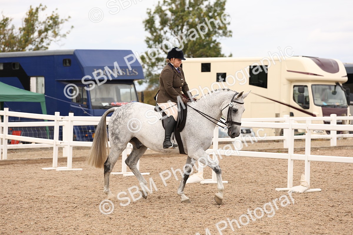 SBM_17187 - Class 213 - Ridden Hunter - Large