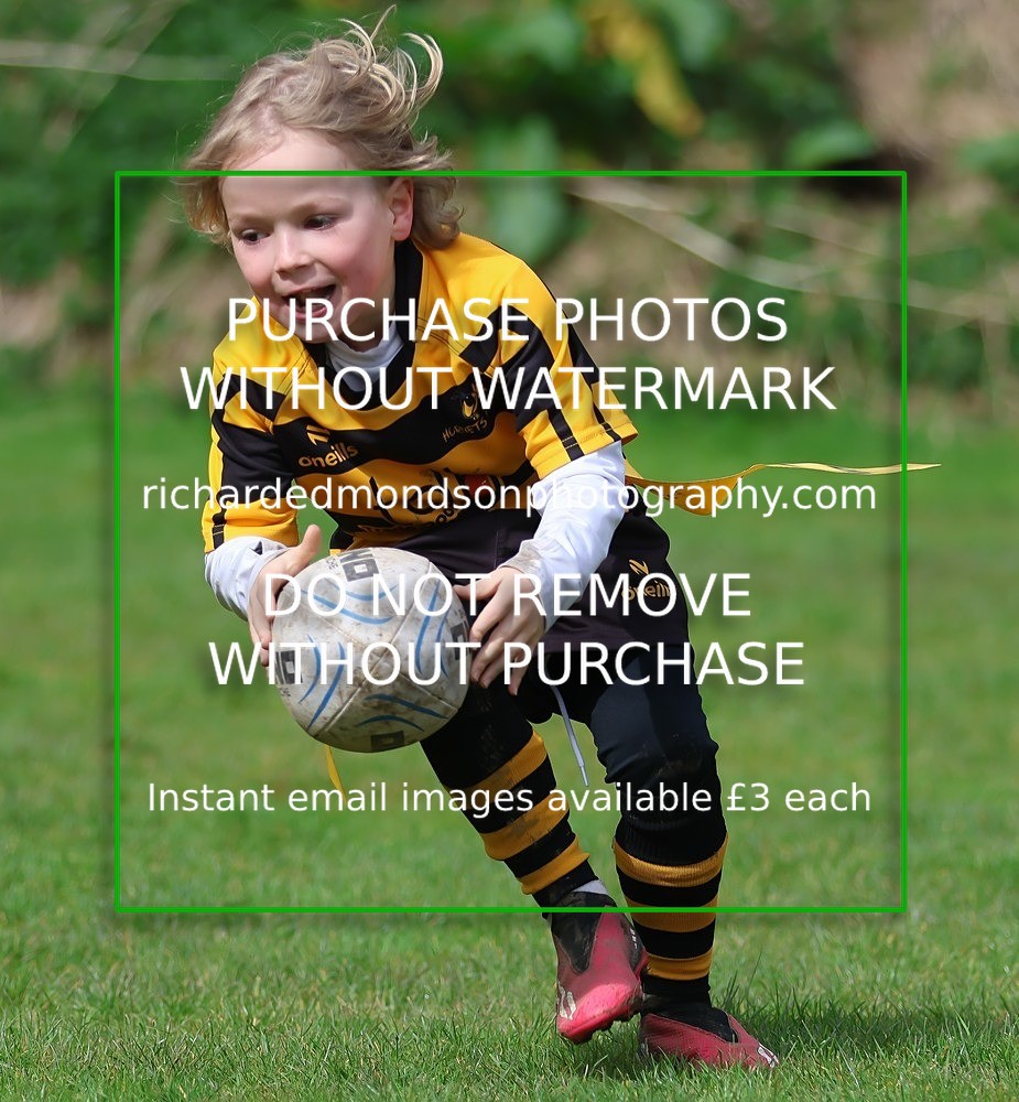 533A5381 - Kendal Rugby Under 7's (12/4/26)