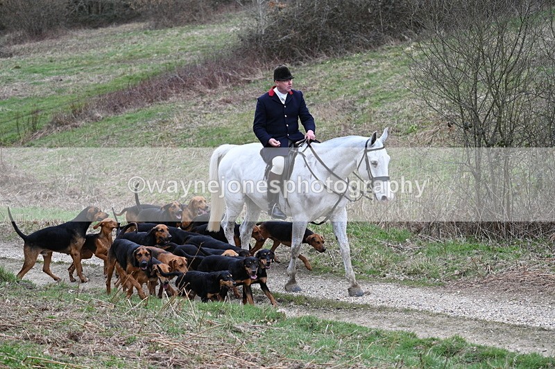 WJ7_7323 - Walk Home